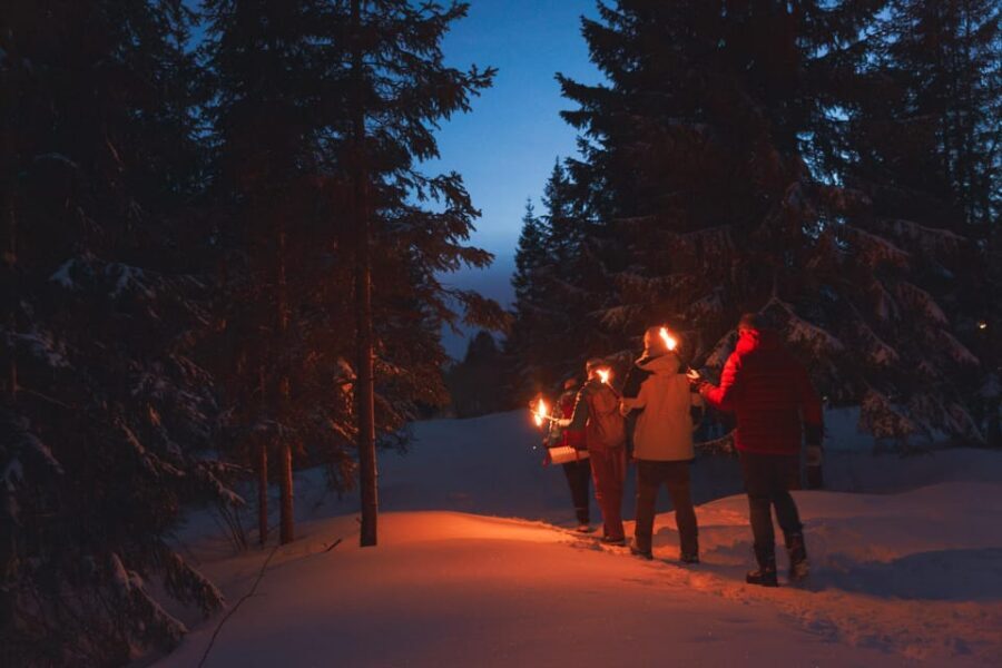 Oslo: Snowy Forest Torchlight Walk with Campfire - The metro ride up to Frognerseteren: a view you don’t have to earn