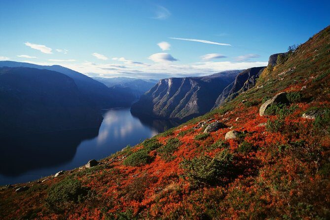 Oslo To Bergen Self-Guided Full Day Trip with Flåm Railway And Fjord Cruise - Oslo to Bergen in One Day: what you’re really paying for