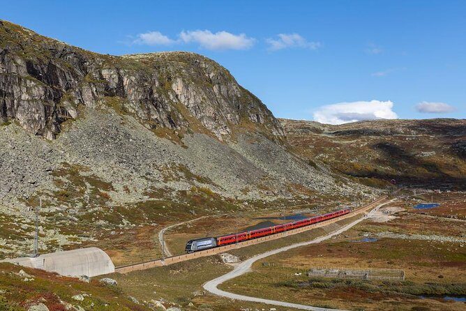 Oslo To Bergen Self-Guided Full Day Trip with Flåm Railway And Fjord Cruise - Oslo Central Station at 8:00 am: how to start without stress