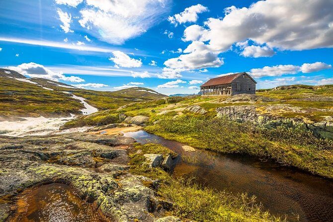 Oslo To Sognefjord Private Full Day Roundtrip Including Flam Railway - Myrdal Switch and the Geilo Stop: The Part That Can Feel Like a Reset