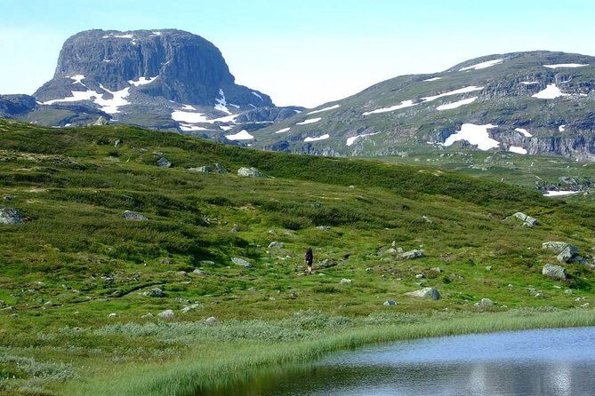 Oslo To Sognefjord Private Full Day Roundtrip Including Flam Railway - Tips to Make the Long Day Work for You