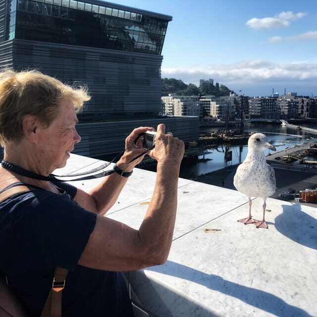 Oslo Unveiled: Private Walking Tour - Akershus Fortress and the Oslo Fjord Views