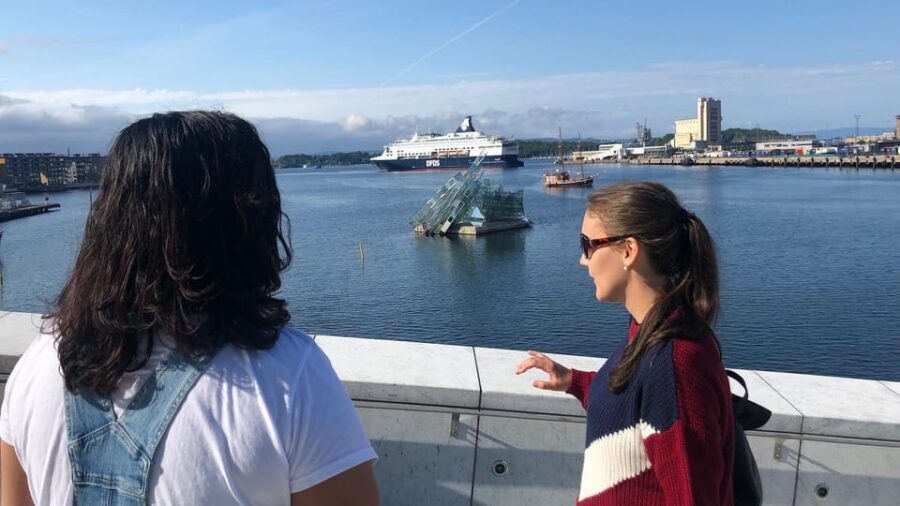 Oslo Unveiled: Private Walking Tour - Karl Johans gate and the Royal Palace: Where Oslo Shows Its Spine