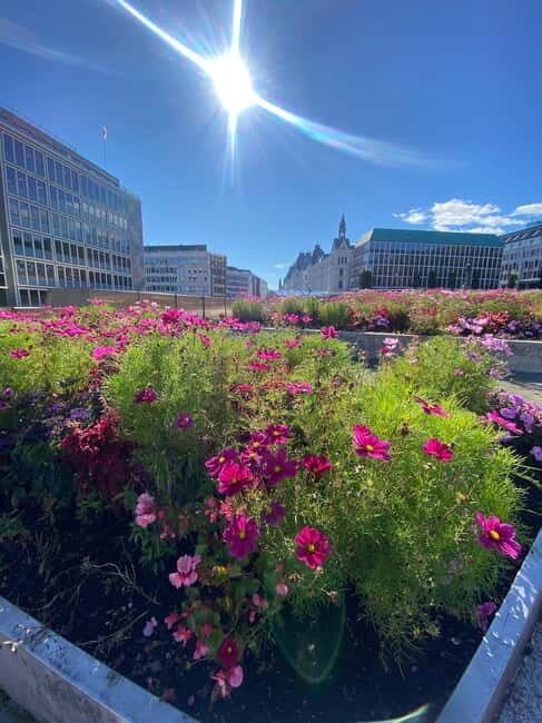 Oslo Walk:Private Walking Tour–City Highlights & Hidden Gems - Key highlights to know before you go