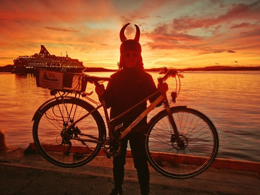 Oslo: Winter Highlights 3-Hour Bike Tour - Price and Value: Is $62 Worth It for a Winter Bike Tour?