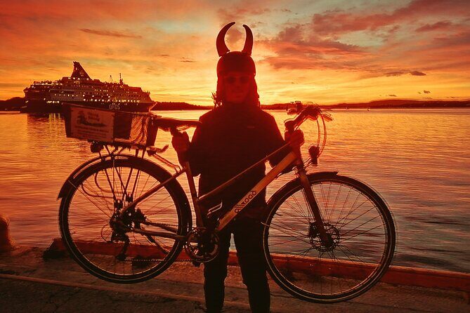 Oslo Winter Highlights Bike Tour - Getting Oriented: Nedre Slottsgate Start at 10:00