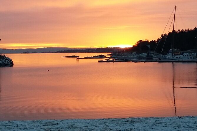 Oslo Winter Highlights Bike Tour - Price and Value: What $56.92 Buys in Central Oslo
