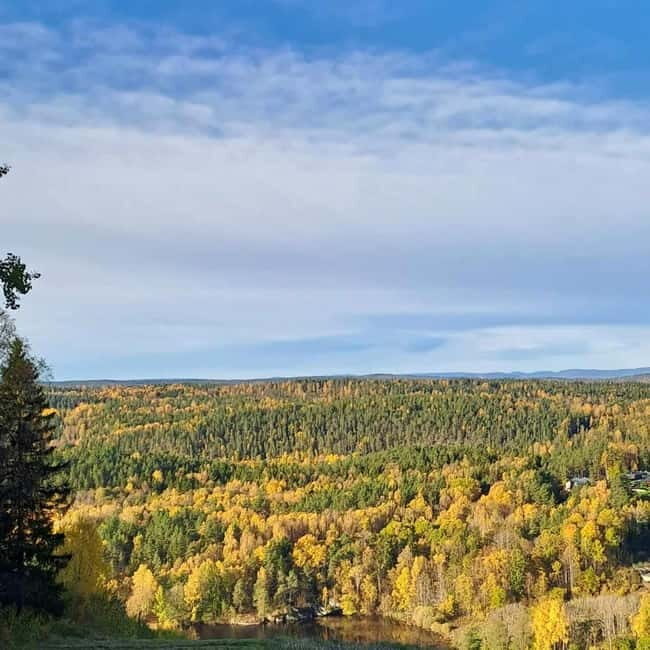 Oslo: Winter Wonderland Forest Hike and Campfire with a Dog - The Walk Itself: Village Steps, Viewpoint Climb, and a Lake Break
