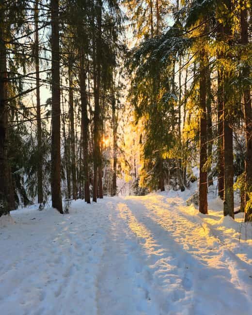 Oslo: Winter Wonderland Forest Hike and Campfire with a Dog - Winter Safety and Comfort: Spikes, Seat Pads, and Layered Reality