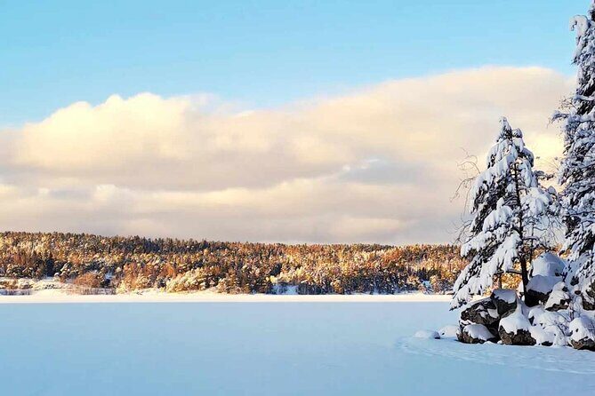 Oslo: Winter wonderland forest hike & campfire with a dog - Key Things I’d Prioritize On This Oslo Winter Hike