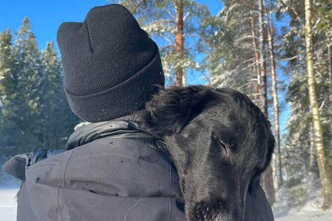 Oslo: Winter wonderland forest hike & campfire with a dog - Getting Out of Oslo Fast: Kolbotn to Solbråtan, Without the Headache