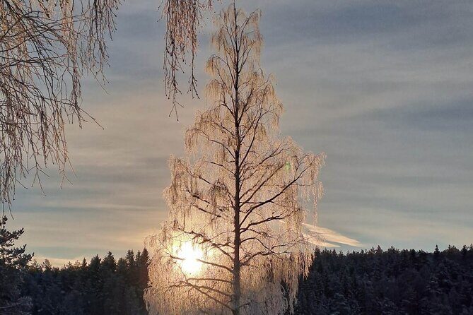 Oslo: Winter wonderland forest hike & campfire with a dog - Price and Value: What You’re Paying for at $150.07