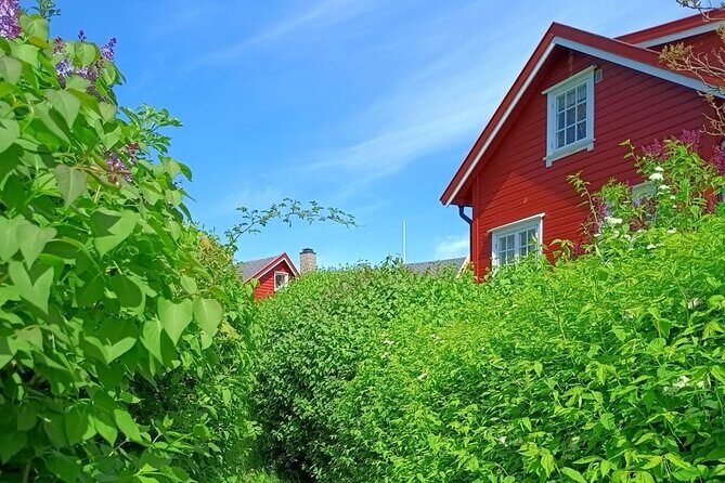 Oslofjord Island Hopping Tour - Key things to know before you go