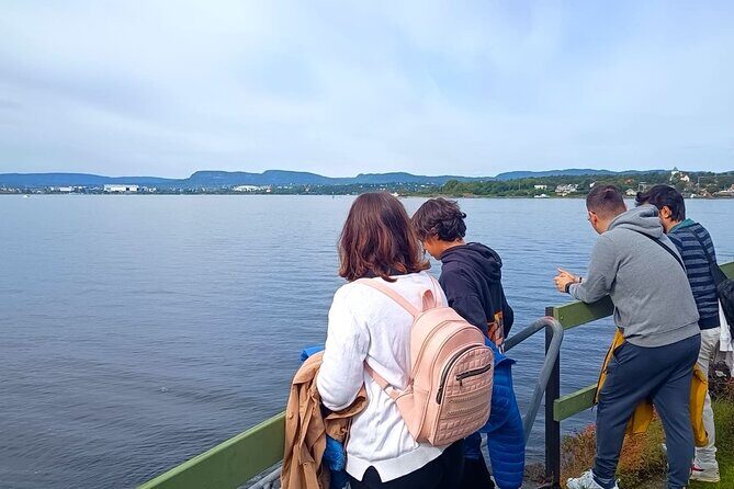 Oslofjord Island Hopping Tour - Hovedøya: ruins, forest trails, and a beach option