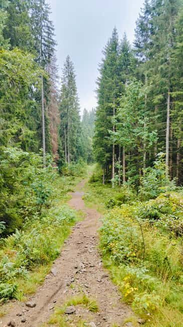 Oslo’s Secret Forest Gastronomy: Private Chef & Local Feast - Winter Bonfires vs Summer Stoves: Fire Rules That Affect Your Tour