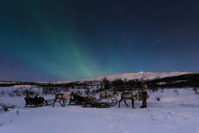 Overnight Stay with Reindeer Sledding & Feeding - Reindeer Sledding and Feeding: Short Ride, Big Wow
