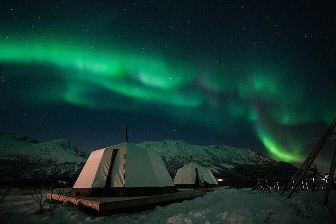 Overnight Stay with Reindeer Sledding & Feeding - Sami Stew in a Lavvu: Warm Food With Real Cultural Context