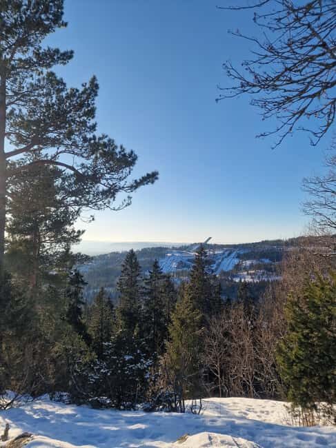 Panoramic Peaks – Oslo’s Most Beautiful Fjord Views Hike - Key highlights worth planning around