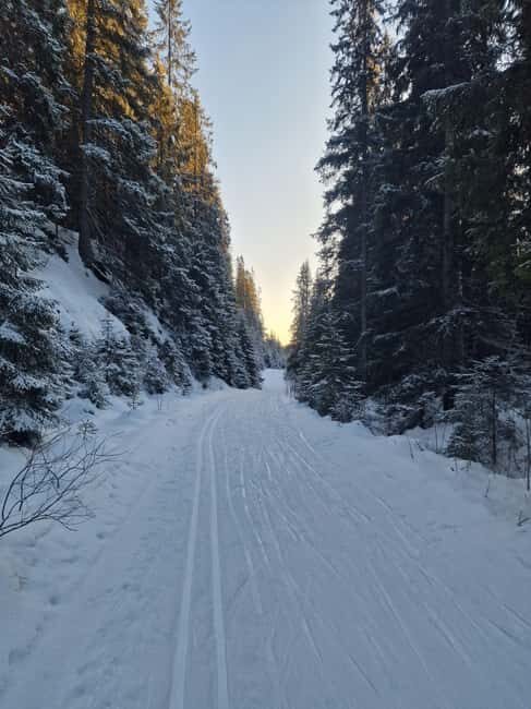 Panoramic Peaks – Oslo’s Most Beautiful Fjord Views Hike - Jernbanetorget tiger statue to the Oslo highlands