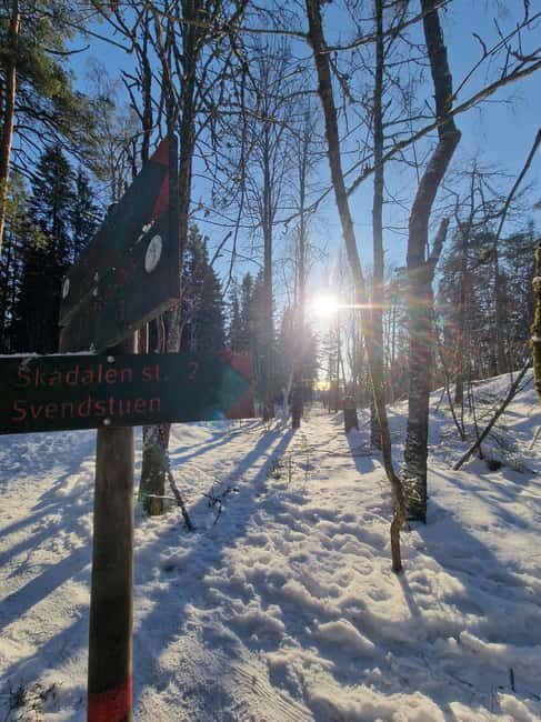 Panoramic Peaks – Oslo’s Most Beautiful Fjord Views Hike - Real-world logistics: transit time and weather conditions