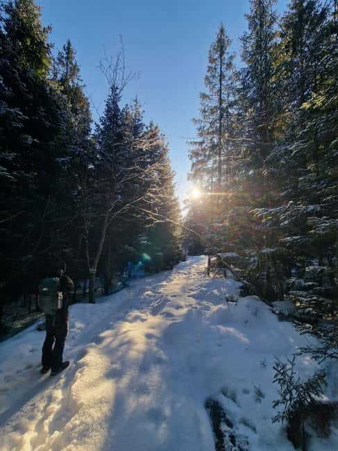 Panoramic Peaks – Oslo’s Most Beautiful Fjord Views Hike - Who this Oslo fjord-view hike is best for