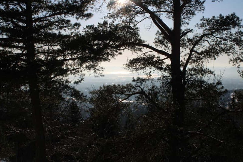 Panoramic Peaks – Oslo’s Most Beautiful Fjord Views Hike - Should you book Panoramic Peaks in Oslo?