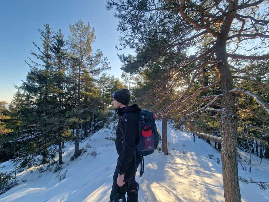 Panoramic Peaks – Oslo’s Most Beautiful Fjord Views Hike - Vettakollen forests: quiet trails and fjord hints through the trees