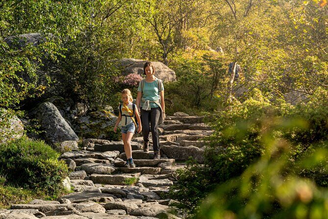 Preikestolen | Pulpit Rock - Hike with a local guide - Pace, safety, and guide support (from the real names you might meet)
