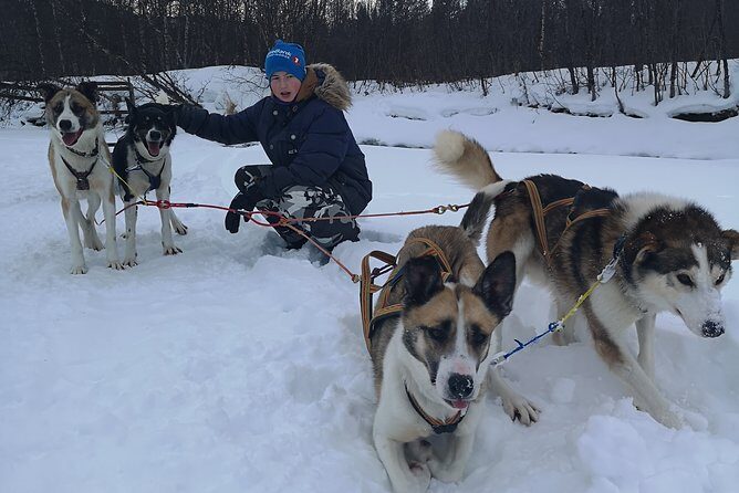 Privat sled trip with husky in the alta valley - How the sled ride works on the Alta River route