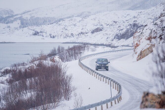 Private Arctic Fjord Roadtrip with Scenic Picnic from Tromso - Seeing Wildlife and Staying Flexible When the Weather Turns