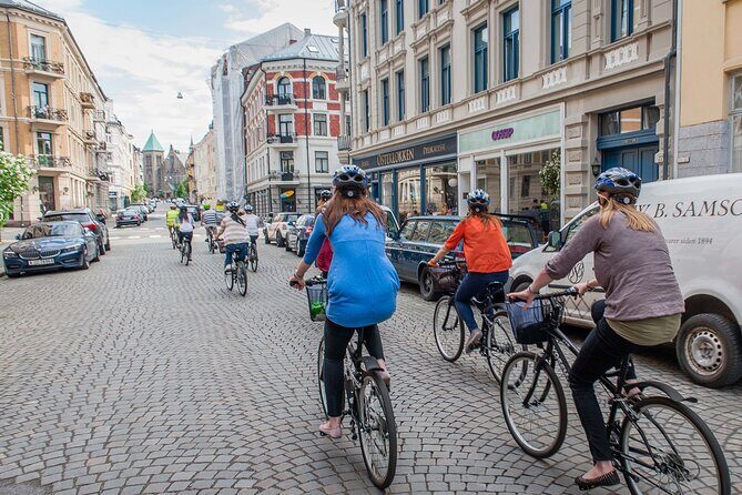 Private Bike Tour (3 hours) - Vigeland Park on a bike: art you don’t rush