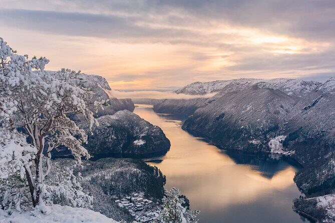 Private Cruise: Mostraumen by Zodiac or Lux Pontoon Boat - Bergen to Vikanes: the day starts with an easy, scenic push out of town