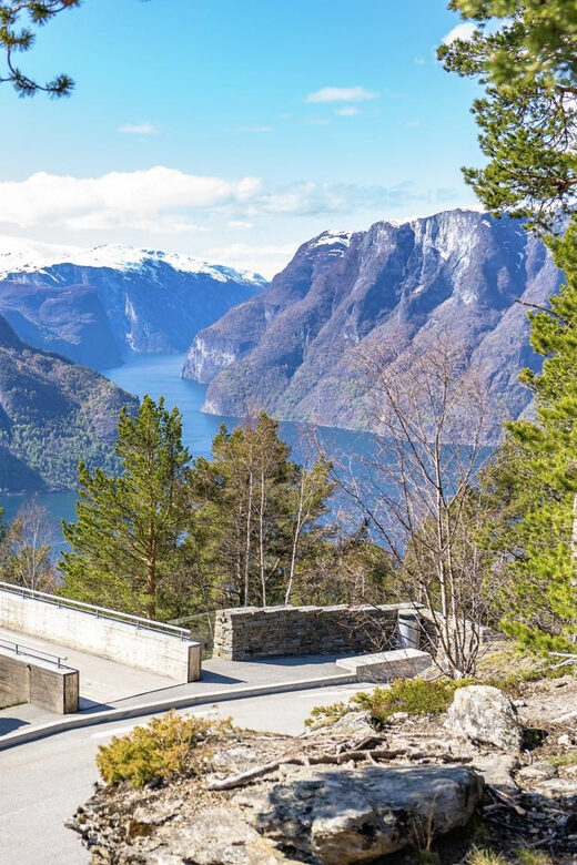 Private Day Tour- Flam Railway & Fjord Cruise From Bergen - Queen of the Fjords on the Nærøyfjord: Kjelfossen and the real pacing of water