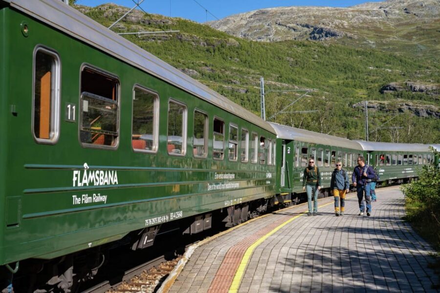 Private Day Tour- Flam Railway & Fjord Cruise From Bergen - Who this tour fits best (and who might rethink it)