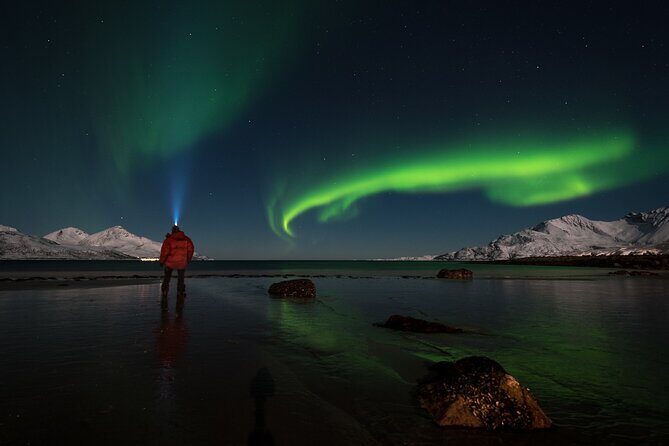 Private & Exclusive Northern Lights Tour with Professional guide - Key highlights you’ll feel on the night