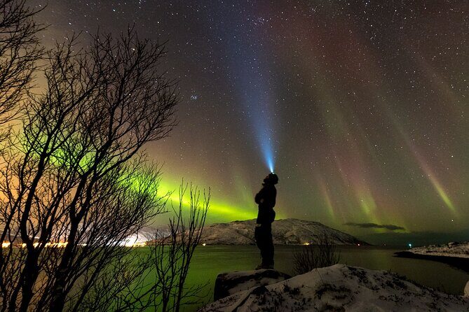 Private & Exclusive Northern Lights Tour with Professional guide - Tromsø at night: why 7:00 pm makes sense for aurora chasing