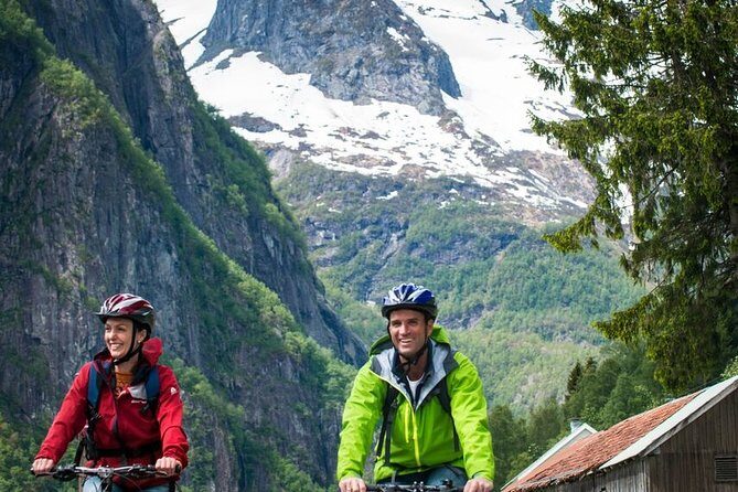 Private Full-Day Round Trip from Oslo to Sognefjord via Flåm Railway - The Nærøyfjord cruise from Gudvangen: the “do not miss” hour