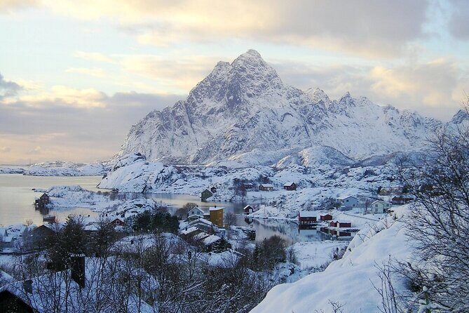 Private Full Day Sightseeing Tour from Svolvær to Å - Nusfjord Fishing Village: the 2-hour history stop that makes the day click