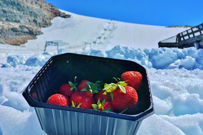 PRIVATE GUIDED TOUR: Folgefonna Glacier roundtrip from Bergen, 8 hours - The Return: Ferry Back, Then the Same Beautiful Road