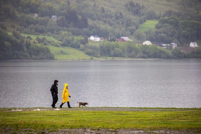 PRIVATE GUIDED TOUR: Norway's Highlights–Viking Special, 11 h - Tvindefossen, Stalheim Hotel, and the hairpin descent that changes everything