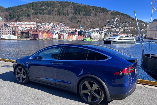 Private Guided Tour of Bergen and the Best of Norwegian Fjords - Stop 4: Øystese lunchbreak with Hardangerfjord views (45 minutes)