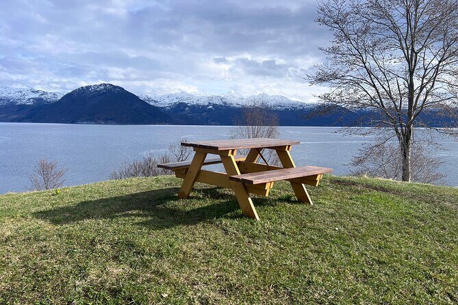 Private Guided Tour of Bergen and the Best of Norwegian Fjords - Price and logistics: what you’re really paying for