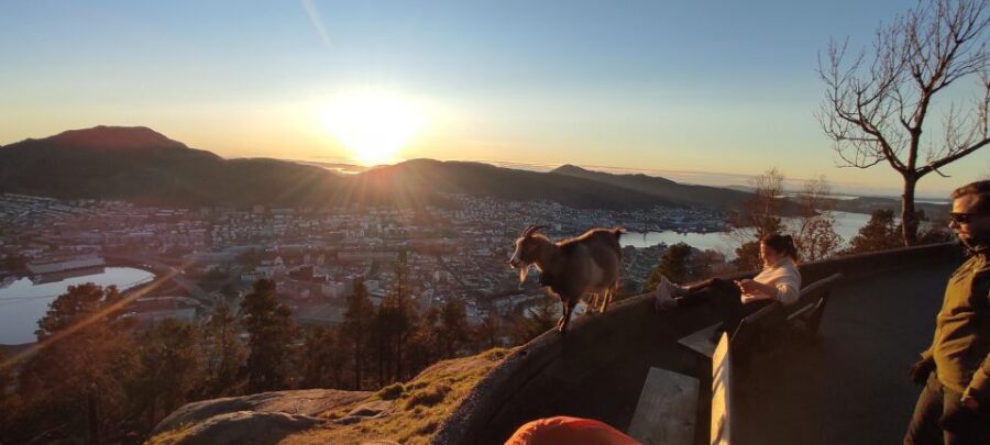 Private hiking tour Bergen mountains like a local - Key Things I’d Book This For