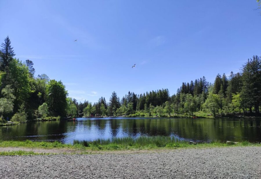 Private hiking tour Bergen mountains like a local - What Weather and Footwear Really Mean Here