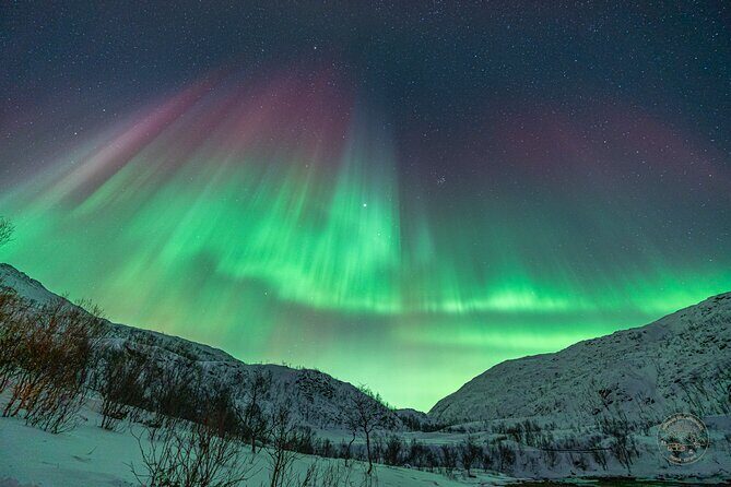 Private Northern Lights Chase with Photography from Tromsø - Price and Value: What You’re Paying For at $2,094.22