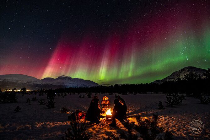 Private Northern Lights Chase with Photography from Tromsø - Who Should Book This Private Aurora Chase