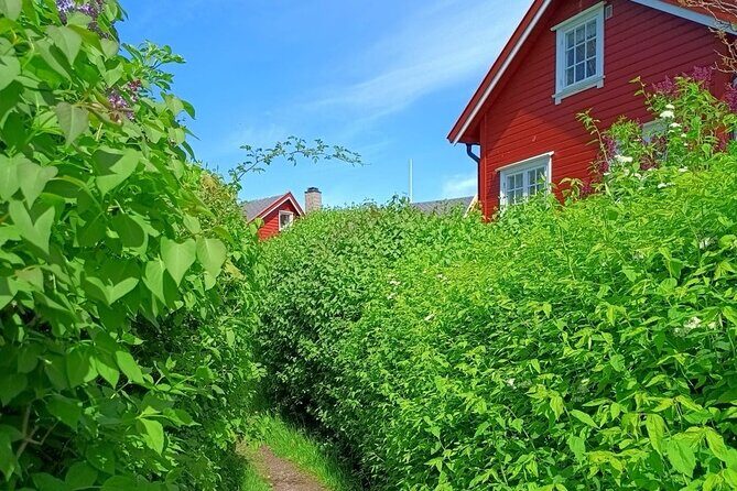 Private Oslofjord Island Hopping Tour - Hovedøya Stop: Monastery Ruins, Forest Trails, and Optional Beach Time