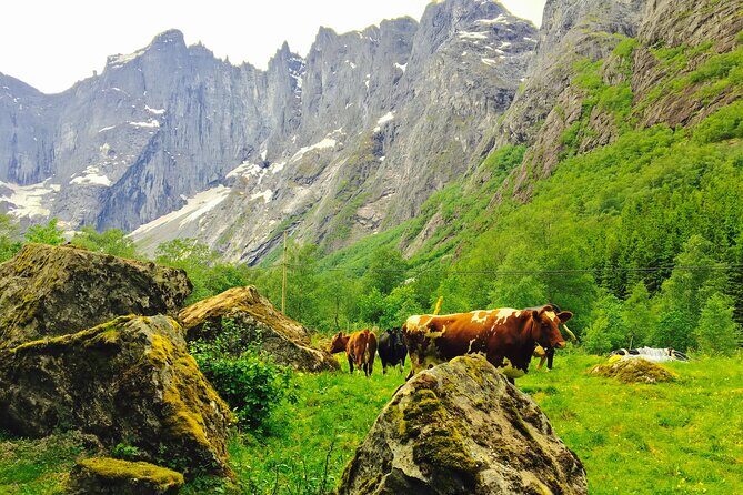 Private shore excursions Ålesund Trollstigen-Trollroad in small (1-4)groups - Aksla Mountain Viewpoint: The Included Ticket Upgrade