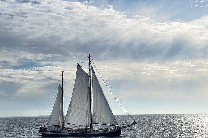 Private sightseeing in a Volvo XC 90 All inclusive museum/guiding - Stop 3: Kon-Tiki Museum, Thor Heyerdahl, and the original ships