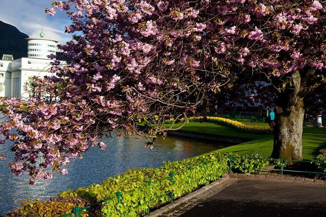 PRIVATE TOUR: Bergen city sightseeing, 3 hours - What to Expect on the Ground: Weather, Walking, and Realistic Pacing